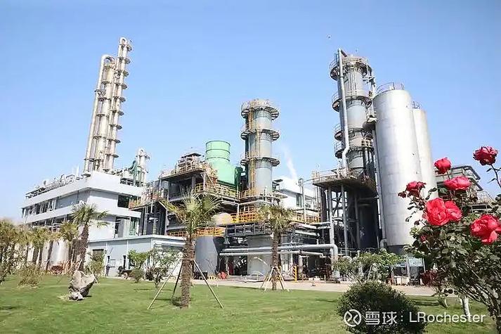 投资备忘录:扬农化工的商业模式研究